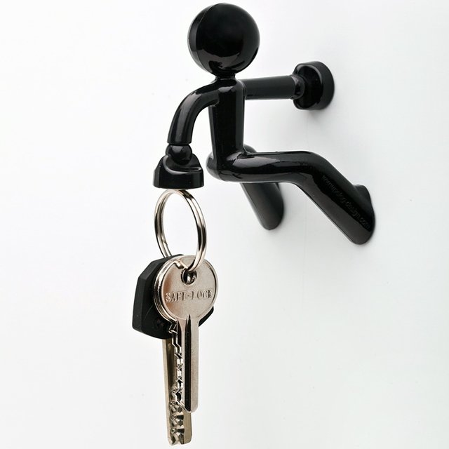 Small Black Climbing Appealing Small Black Magnetic Pete Climbing On The White Wall Used Inside The Modern House Interior Decoration  Key Holder Designs For Your Complete Excitement 
