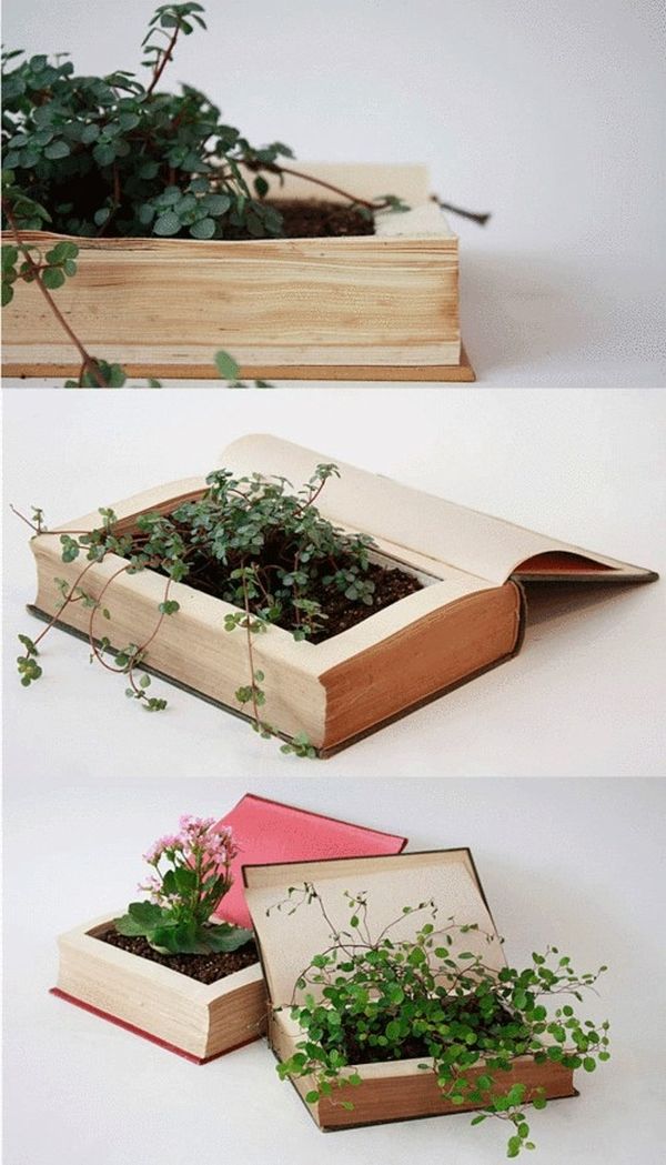 Book Planteres Small Attractive Book Planteres Completed With Small Plantations And The Beautiful Flowers Placed On The Small Soil Decoration  DIY Planters Enhancing Fresh Decoration In Your Room 