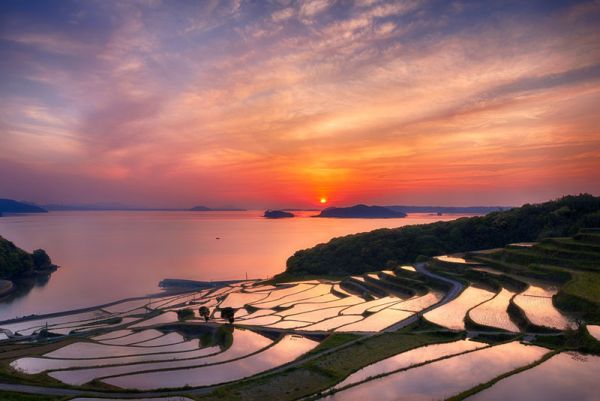 Doya Rice Japan Awesome Doya Rice Terrace Sunset Japan Desugb With Neat Field Planning And Beautiful Orange Colored Sunset With Vast Sea Decoration  Sunset Scenery Views To See Around The World 