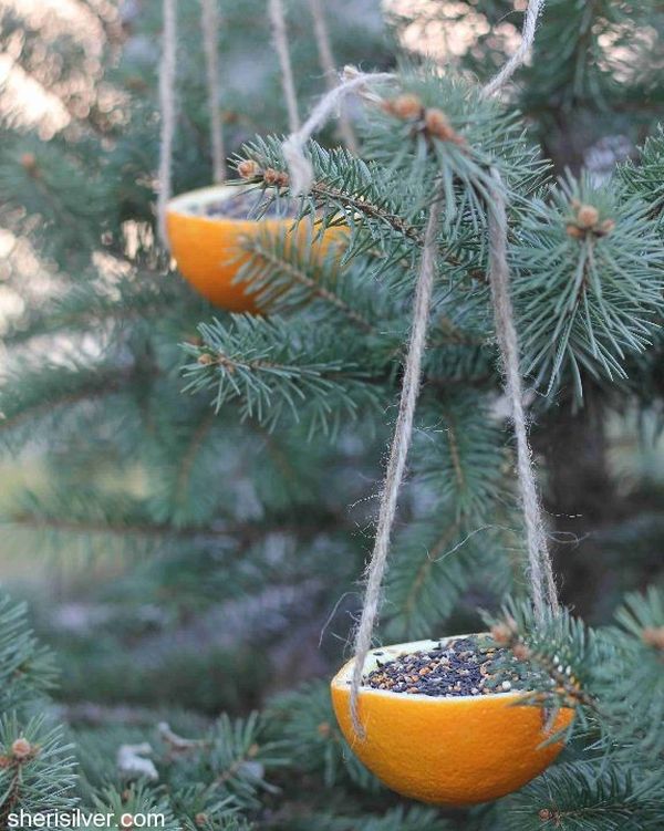 Design Of Feeder Creative Design Of Holiday Bird Feeder Design Ideas Used Orange Hide Hung On Pine Tree With Rope  Bird Feeder Design To Enjoy Birds Song In The Morning 