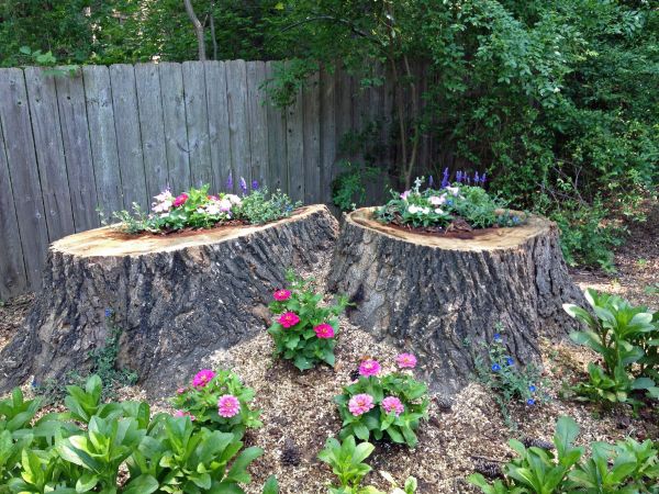 Garden Design Including Delightful Garden Design At Backyard Including Trunk Tree For Planter Placed Near Wooden Board Fence Surrounded With Flowers And Plants On Ground Garden  DIY Gardening Ideas Creating A Beautiful Little Garden At Home 