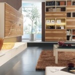 Catching Wooden Contemporary Eye Catching Wooden Bookcase For Contemporary Living Room Combined With Grey Sectional Sofa And White Floating Cabinet Living Room  Living Room Furnished With Ultramodern Wardrobes 