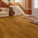 Cheap Hardwood Artistic Fantastic Cheap Hardwood Flooring Furnishing Artistic Design Ideas Beautiful Entry With Traditional Staircase Striped Wallpaper Interior Design  Cheap Hardwood Flooring For Your Interior 