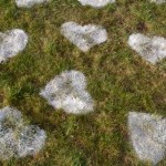 Hearts On For Flour Hearts On The Lawn For House Front Yard Exterior Design Ideas In Luxurious Design Ideas Decoration  Valentines Decorating Design For Celebrating The Moment 