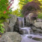 Design Of Including Gorgeous Design Of Traditional Backyard Including Stone Waterfall On Stoney Pond Completed Withn Flowers And Some Plants Garden  Backyard Garden Waterfalls As Beautiful Garden Landscaping 