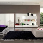 Furniture Living Plus Modern Furniture Living Room Design Plus Modern White Living Room Bookcase Design With Contemporary Black Fur Rug Living Room And Small Living Room Floor Lamp Design Interior Design 14 Attractive Living Room Ideas For Stylish Home Spaces