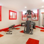 In The In Red In The Carpet Tiles In Homes Inside Transitional Gym With Sophisticated Equipments House Designs  Carpet Tiles In Homes Interior Decoration 