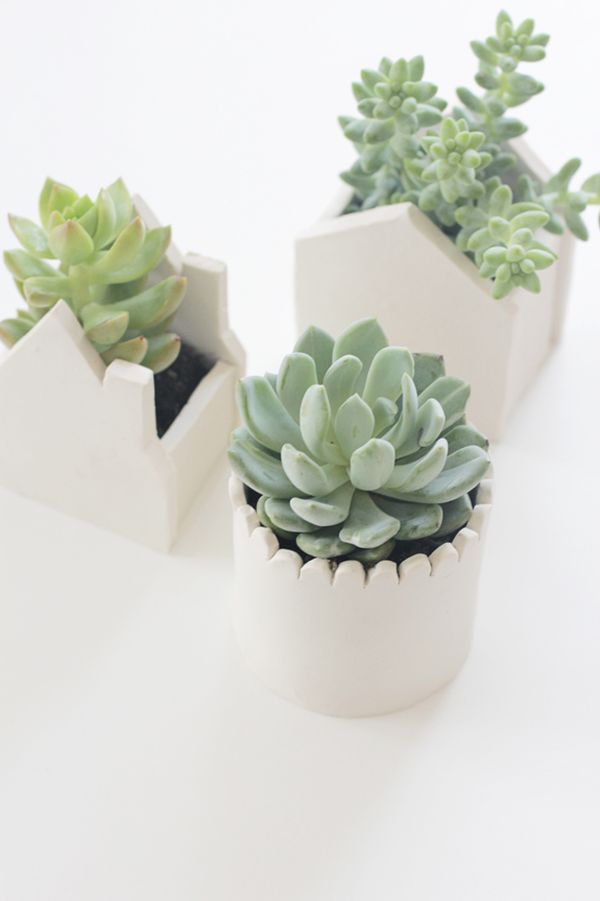 Green Plantations The Small Green Plantations Placed Inside The White Tiny Planters Used For The Interesting Interior With White Floor Decoration  DIY Planters Enhancing Fresh Decoration In Your Room 