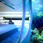 Discus Bedroom Outside Water Discus Bedroom Seen From Outside Underwater With Various And Hues Fish And Corals Through Strong Glass Prefabricated Curving Wall Decoration  Stunning Undersea Hotel Project In Unbelievable Design 