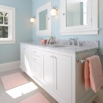 Vanity And Wall White Vanity And Mirrored Bathroom Wall Cabinets Inside Craftsman Bathroom With Blue Wall And White Ceiling Bathroom  Bathroom Wall Cabinets With Bright Color Accent 
