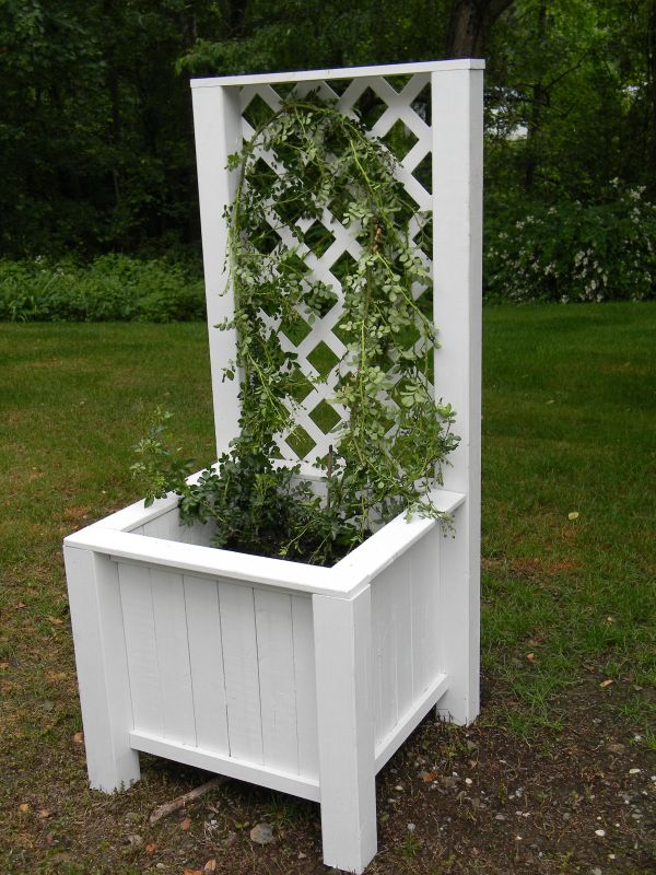 White Chair With Wonderful White Chair Planter Completed With Some Dark Soil And Green Plantation On The High Backrest Decoration  DIY Planters Enhancing Fresh Decoration In Your Room 
