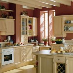 Small Kitchen Kitchen Admirable Small Kitchen Ideas With Kitchen Island And Kitchen Cupboards Furnished With Electric Range And Sink Also Completed With Kitchen Fixtures On Wall Cabinets Kitchen Various Inspiring For Small Kitchen Ideas