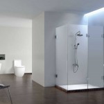 White And Color Adorable White And Dark Brown Color Room Ideas With Clear Glass Shower Room Completed By Shower Head And Furnished With Wall Sink And Bathroom Fixtures Bathroom Decorating Bathroom With Bathroom Fixtures