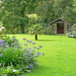 Neat Green Garden Amazing Neat Green Grass Of Garden Design Ideas Furnished With Various Plants Completed With Green Bench And Contemporary Garden Shed Garden Garden Design Ideas As The Additional Decoration For Enhancing House