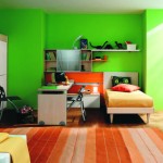 Green Accent In Astonishing Green Accent Wall Color In Boys Bedroom Ideas Combined With Wooden Flooring And Installed With Single Bed Plus Desk And Chairs Bedroom Boys Bedroom Ideas: The Important Aspects
