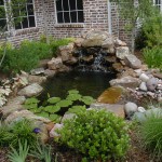 Garden Pond Also Beautiful Garden Pond With Waterfall Also Stone Line Idea Feat Pebbles Decoration And Native Plants Surround Decoration Wonderful Garden Pond Ideas With Koi Fish