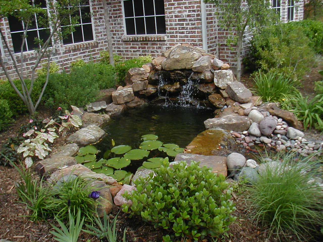 Garden Pond Also Beautiful Garden Pond With Waterfall Also Stone Line Idea Feat Pebbles Decoration And Native Plants Surround Decoration Wonderful Garden Pond Ideas With Koi Fish