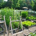 Picket Fence Wooden Beautiful Picket Fence And Gray Wooden Seedbed Feat Brown Umbrella Plus Contemporary Vegetable Garden Idea Garden Simple Vegetable Garden Ideas For Your Living