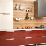 Contemporary Kitchen Modern Captivating Contemporary Kitchen Equipped With Modern Kitchen Cabinets Furnished With Electric Range And Countertop Plus Completed With Red Cupboard Kitchen Modern Kitchen Cabinets Design Inspiration