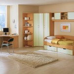 Modern Kids Soft Captivating Modern Kids Bedroom With Soft Kids Room Rugs Furnished With Single Bed Combined With Cupboards Also Completed With Desk Plus Black Chair And TV Stand Kids Room Kids Room Rugs: Between Classic And Modern Style