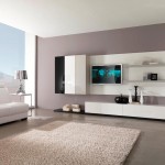 Clear Glass Applied Charming Clear Glass Side Wall Applied In Modern Living Room Furnished With White Sofa And Black Chair Plus Soft Rug And Completed With Wall Television Living Room Modern Living Room Inspiration For Your Rich Home Decor