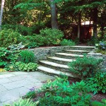 Lanscape Design The Charming Landscape Design Ideas In The Backyard With Steps Entrance Applying Flooring Tile Entryway Furnished With Green Plants And Trees Exterior Landscape Design Ideas With Natural Decoration