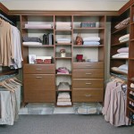 Walk In With Chic Small Walk In Closet Ideas With Modern Style Using Wooden Shelving Design And Grey Rug Decor For Inspiration Decoration 10 Cozy Small Walk In Closet Ideas To Strike Your Fancy