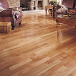 Living Space Hardwood Classic Living Space Decorative With Hardwood Floor Color Combine With Ancient Sofa And Rustic Coffee Table House Designs  Why You Should Have One Of These Breathtaking Hues For Your Hardwood Floors 