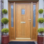 Potted Topiary Large Comely Potted Topiary Mixed With Large Black Doormat And Modern Exterior Wood Door Decoration Fascinating Wooden Doors That Work In Every Room