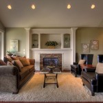 Fireplace Cabinets Leather Compact Fireplace Cabinets Also Black Leather Accent Chairs And Cozy Shag Living Room Rug Plus Brown Couch Design Living Room  Charming Styles Of Living Room Rugs 