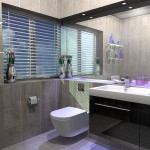 Modern Bathroom Black Cool Modern Bathroom Design With Black And Grey Color Furnished With Bathroom Storage Ideas And Installed With Vanity Double Sink Plus White Bidet Bathroom Bathroom Storage Ideas For Your Comfortable Bathroom