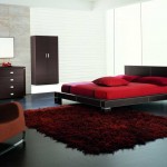 Red And Of Cool Red And Black Interior Of Men's Bedroom Ideas With Queen Bed And Nightstand Furnished With Soft Rug And Completed With Dark Brown Drawers Bedroom Mens Bedroom Ideas: The Design Character