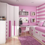 Teen Room For Cool Teen Room Decorating Ideas For Girl With Fabulous Pink Wall And Trendy Curvy Closet Plus Bunk Bed Bedroom Teen Bedroom Decoration With Awesome Look