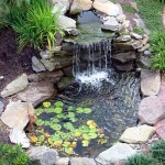 Water Lilies Fish Cute Water Lilies And Koi Fish In Modern Garden Pond Idea With Rock Line Plus Attractive Waterfall Decoration Wonderful Garden Pond Ideas With Koi Fish