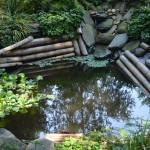 Garden Pond Plants Dazzling Garden Pond With Water Plants Also Bamboo Line Idea Feat Streams And Natural Stone Decoration Decoration Wonderful Garden Pond Ideas With Koi Fish