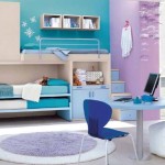 Plus Blue With Desk Plus Blue Chair Paired With Bookshelf Bunk Bed Also Cabinet Decorative Round Rug And Wall Decoration  The Most Alluring Room Ideas For Teenager 