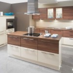 Electric Range Island Enchanting Electric Range On Kitchen Island In Modern Kitchen Decorating Ideas And Furnished With Cabinets Completed With Cabinet Lighting And Kitchen Fixtures Kitchen An Interesting Kitchen Decorating Ideas