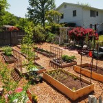 Vegetable Garden Wooden Enchanting Vegetable Garden Idea With Wooden Plant Bed And Metal Arched Combo Feat Elegant Fence Design Garden Simple Vegetable Garden Ideas For Your Living