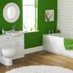Small Bathroom Modern Excellent Small Bathroom Remodel With Modern Green Wall Bathroom Decor With White Color Round Carpet Fur Rug Design With White Small Closet Bathroom And Spacious White Bathtub Bathroom The Most Effective Bathroom Remodel: Toilet And Floor