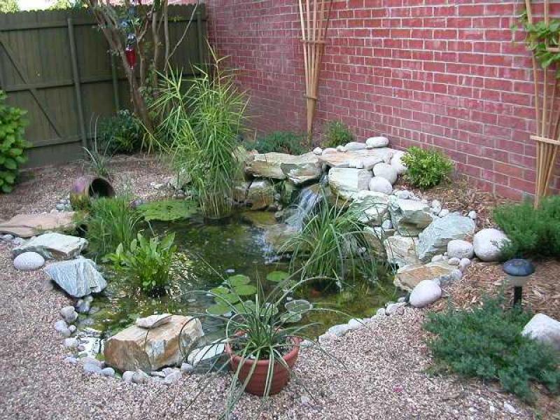 Red Wall Exquisite Exposed Red Wall Idea Feat Exquisite Small Pond With Water Plants And White Medium Stone Line Also Waterfall Decoration Wonderful Garden Pond Ideas With Koi Fish