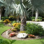 Mediterranean Lanscape With Extraordinary Mediterranean Landscape Design Ideas With Neat Green Grass Completed With Various Plants And Furnished With Palm Trees As Decor Exterior Landscape Design Ideas With Natural Decoration