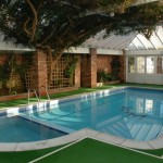Green Lawn Modern Fake Green Lawn Idea Feat Modern Small Indoor Swimming Pool With Glass Ceiling And Brick Wall Design Pool  Making Small Swimming Pool In Best House 