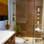 Bathroom Idea Walk Guest Bathroom Idea Featured Modern Walk In Shower With Floating Bench Plus Vertical Niches And Glass Swinging Door Interior Design  Fantastic Guest Bathroom In Guest Bathroom Ideas 