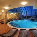 Indoor Swimming In Impressive Oval Indoor Swimming Pool Design In Classical Touch Using Pillar Decor And Brown Floor Edging And Resin Chair Pool Pool Indoor Swimming Pool Covered In Awesomeness