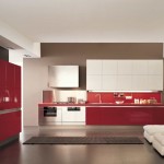 Rectangular Rugs Stainless Modern Rectangular Rugs Design Plus Stainless Steel Backsplash Behind Stove Idea And Stunning Red Kitchen Cabinets Kitchen  Create Incredible Kitchen With Red Kitchen Cabinet 