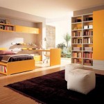 Purposes Bed Underneath Multi Purposes Bed With Bookshelf Underneath Feat Modern Bedroom Closet With Yellow Door And Large Black Rug Idea Bedroom  Bedroom Closet Design For Storage Innovation 