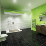 Black Ceramics With Outstanding Black Ceramics Flooring Combined With White And Green Bathroom Paint Ideas Installed With Clear Glass Shower Room Also White Toilet Seat And Wooden Vanity And Towel Rack Bathroom The Great Advantages Of Bathroom Paint Ideas