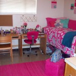 Area Rug Dorm Pink Area Rug Also Cute Dorm Decorating Idea And Comfortable Desk Chair Design Plus Retro Pattern Bedding Decoration Minimalist Dorm Decorating Ideas Along With Compact Features And Simple Accessories