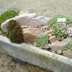 Cement Materials Garden Robust Cement Materials For Rock Garden Ideas To Impound Planters And Cracks Stones Decoration Rock Garden Ideas Using Nature Exterior Accent