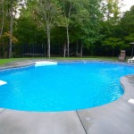 Metal Fence Curved Stylish Metal Fence And Awesome Curved Backyard Pool Design Plus Blue Deck Chair Idea Backyard  Naturalist House In Backyard Pool Ideas 